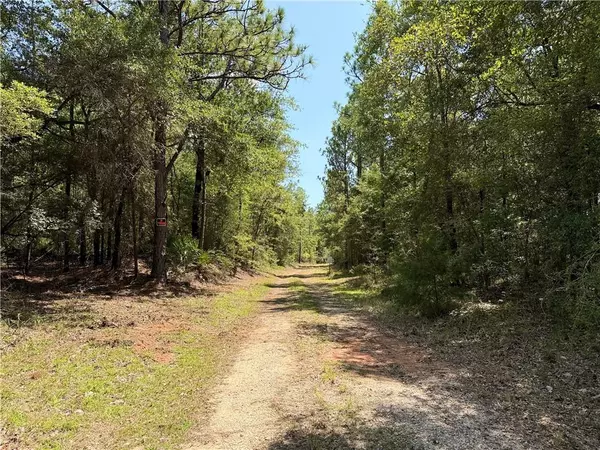 Citronelle, AL 36522,7355 Irwin ST