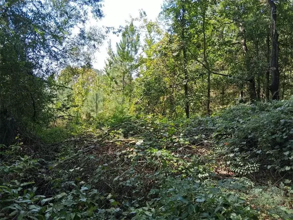 Mount Vernon, AL 36560,0000 Highway 43