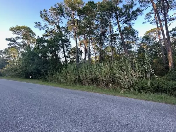 Dauphin Island, AL 36528,158 Orleans DR