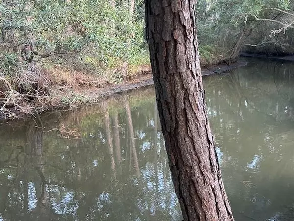 Dauphin Island, AL 36528,158 Orleans DR