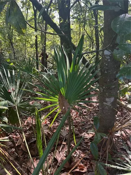 3820 Cypress Shores DR, Mobile, AL 36619