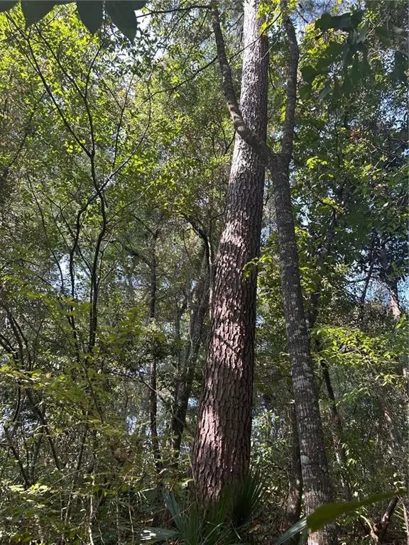 Mobile, AL 36619,3820 Cypress Shores DR