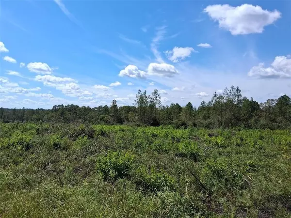 Citronelle, AL 36522,00000 Beverly Jeffries HWY