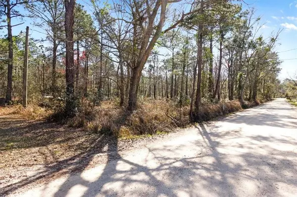 Coden, AL 36523,16045 Williams RD