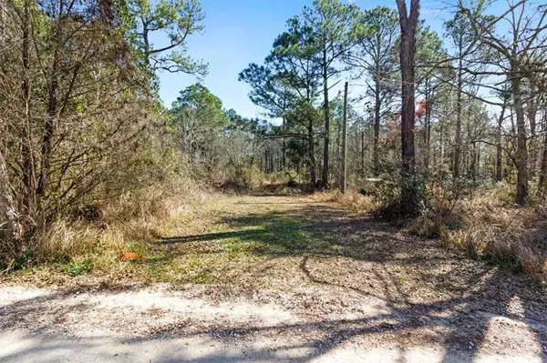 Coden, AL 36523,16045 Williams RD