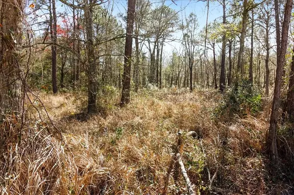 Coden, AL 36523,16045 Williams RD