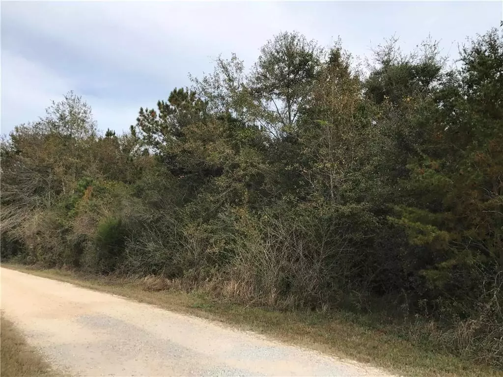 Daphne, AL 36526,24050 River RD N