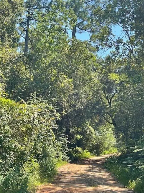 Theodore, AL 36582,9309 3rd AVE