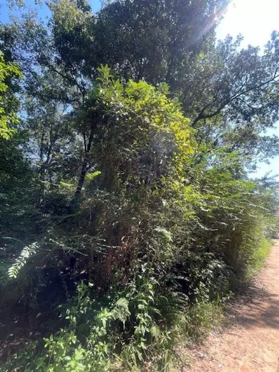 Theodore, AL 36582,9309 3rd AVE