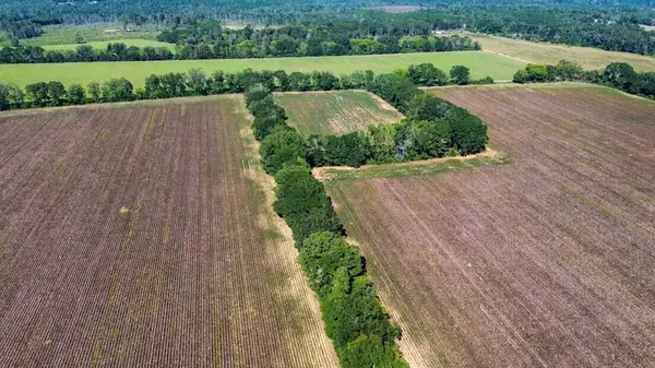 Excel, AL 36449,0 Reed RD