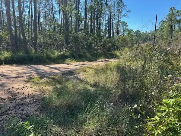 Coden, AL 36523,0 Michigan AVE