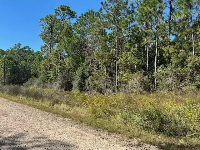 0 Washington AVE, Coden, AL 36523