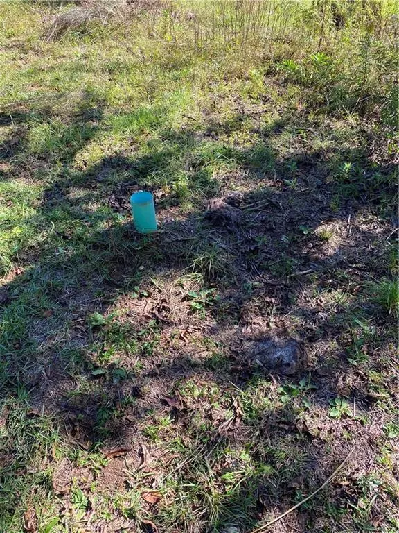 Robertsdale, AL 36567,0 Burgett LN