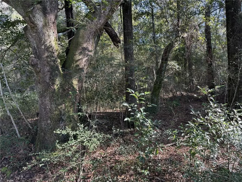 Mobile, AL 36695,0 Sands DR