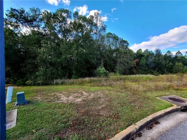 Mobile, AL 36695,0 Wood Duck CT