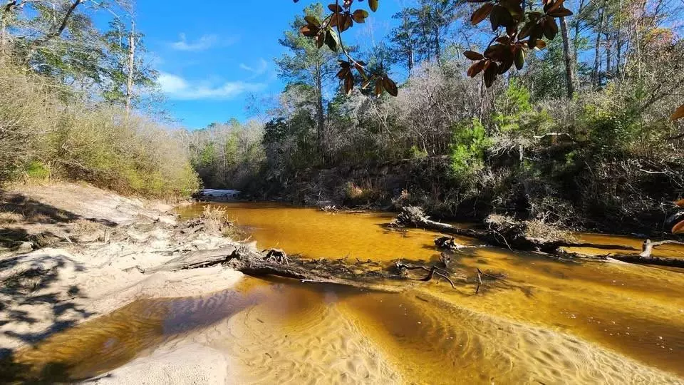 0 Pine ST, Eight Mile, AL 36613