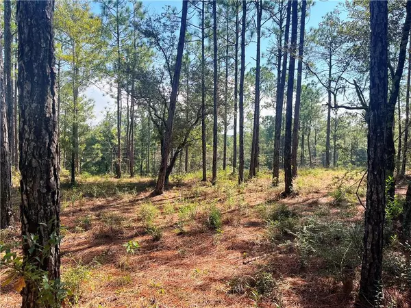 Bay Minette, AL 36507,0 State Highway 225