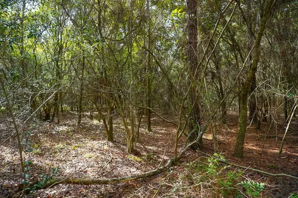 Mobile, AL 36695,0 Smith Young RD