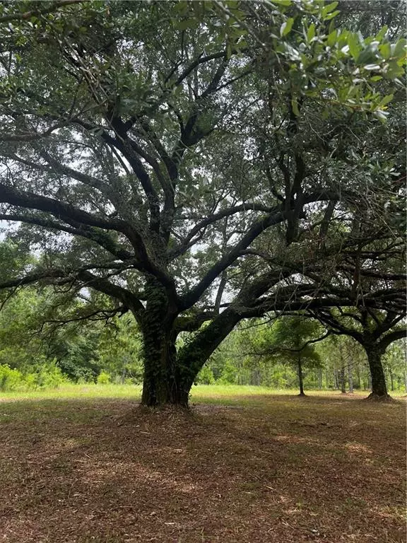 Mobile, AL 36608,0 Hampton Ridge CT