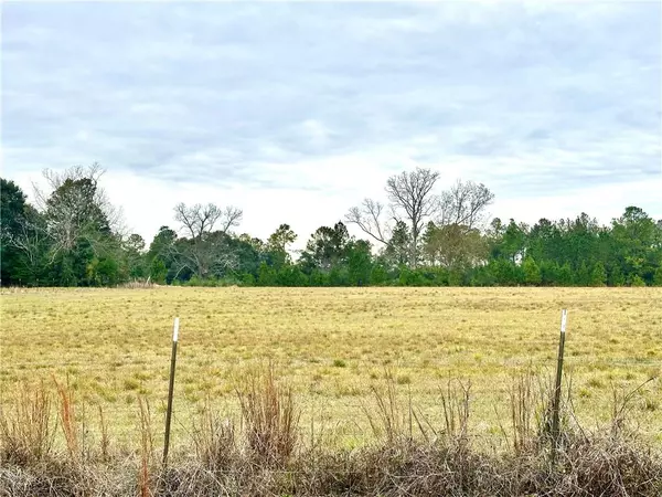 7040 E Patrick RD, Citronelle, AL 36522