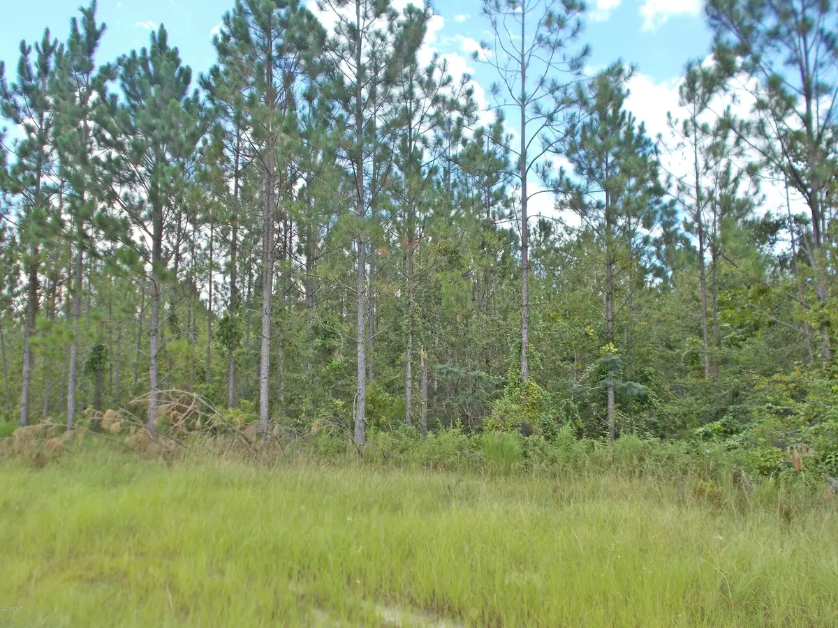 Marianna, FL 32446,000 Cross Country BLVD