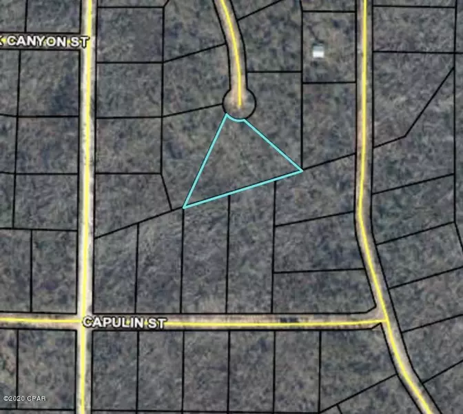 TBD Andrew CT, Alford, FL 32420