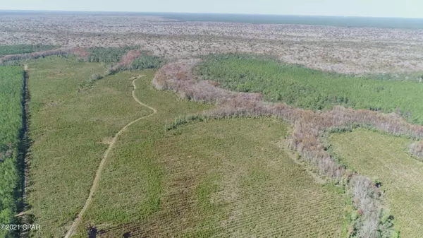 Ebro, FL 32437,00 Otter Creek Bridge Rd