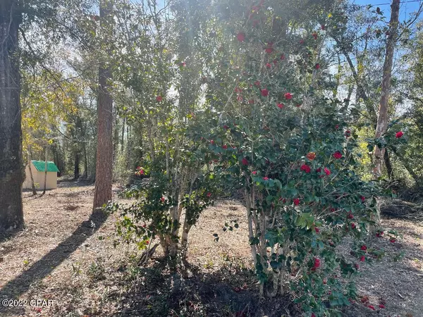 Fountain, FL 32438,20816 Highway 231