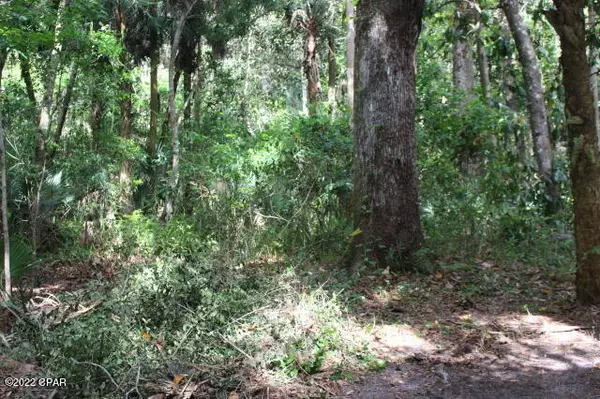 New Smyrna Beach, FL 32168,0 Juanita DR