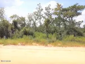 0 Sadorus AVE, Alford, FL 32420