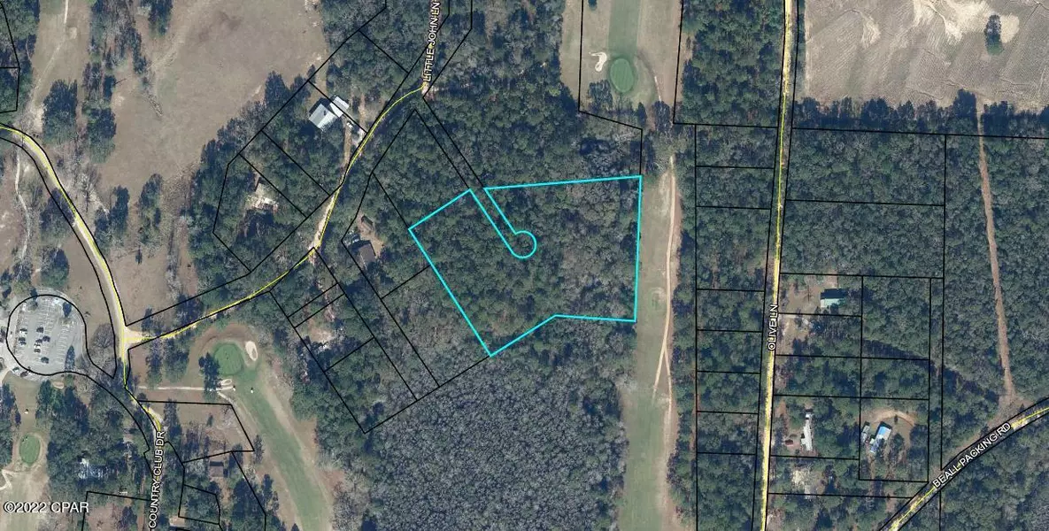 00 Little John Lane, Bonifay, FL 32425