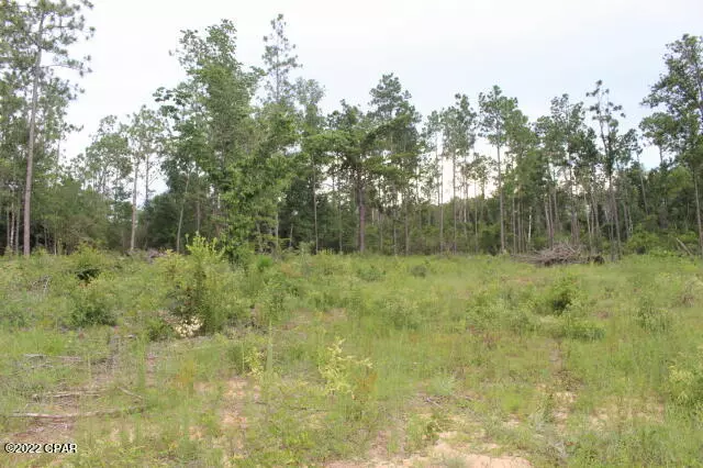 421 Tinker LN, Chipley, FL 32428
