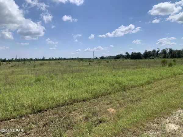 Altha, FL 32421,0000 NW Porter Grade RD