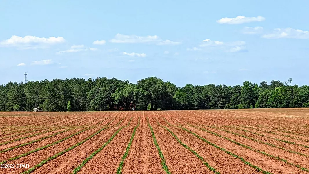 5 acres Overpass Rd, Campbellton, FL 32426