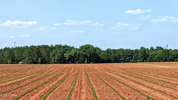 5 acres Overpass Rd, Campbellton, FL 32426