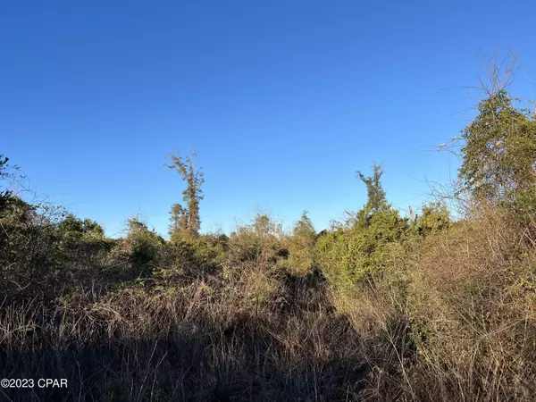 Cottondale, FL 32431,0 London RD