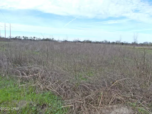 Grand Ridge, FL 32442,0 Waterberry LN