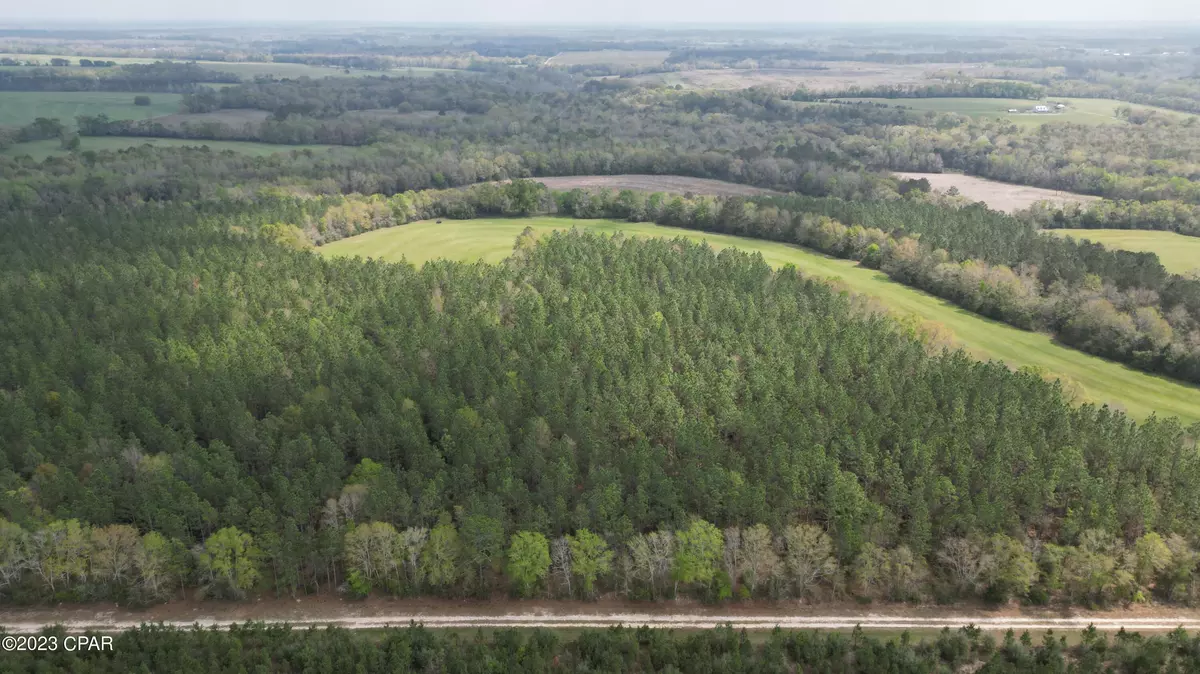 Bonifay, FL 32425,0000 Anderson RD