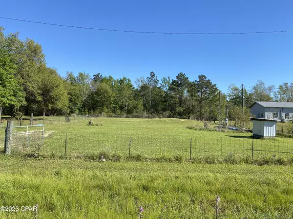 000 DOC WHITFIELD RD,  Wewahitchka,  FL 32465