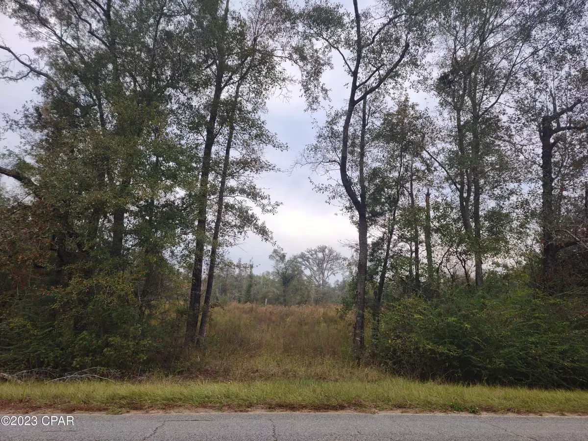 Chipley, FL 32428,00 Pioneer RD