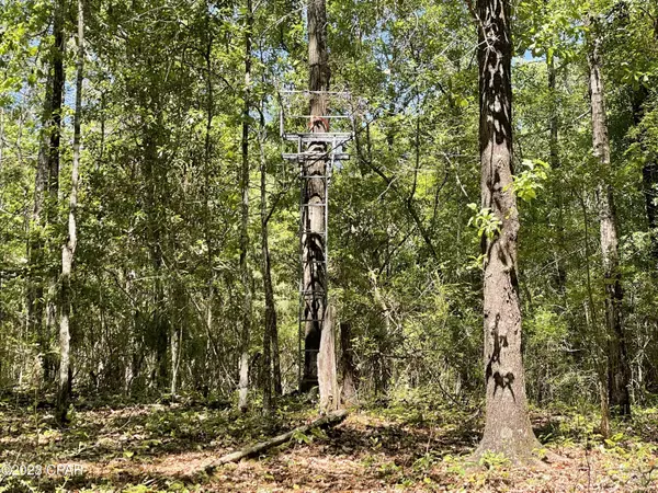 Century, FL 32535,8000 Bratt RD