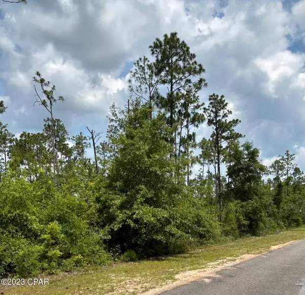 Alford, FL 32420,Lot 50 Edison AVE