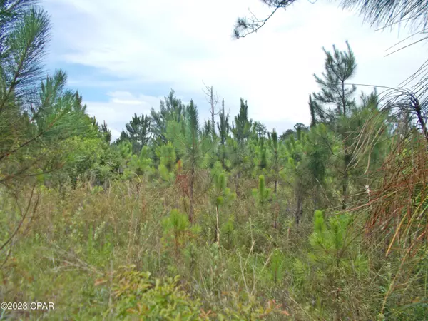 Grand Ridge, FL 32442,0 Express RD