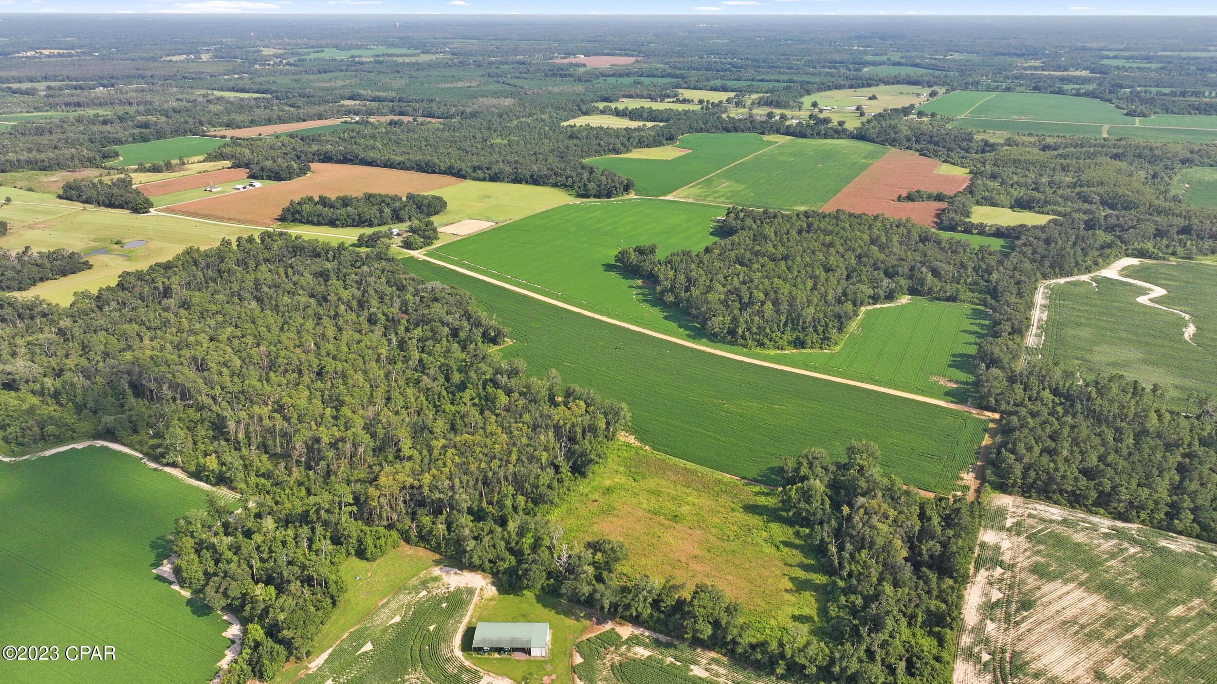 Cottondale, FL 32431,0000 Eldridge RD