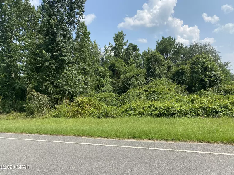 0 Butler RD, Grand Ridge, FL 32442