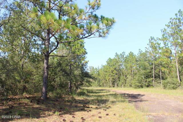 Chipley, FL 32428,0 Iroquois PL