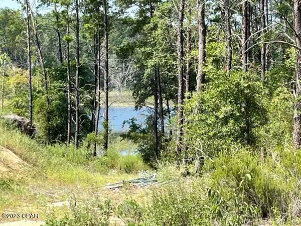 Chipley, FL 32428,00 Pine Ridge DR