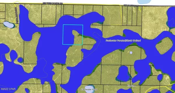 Altha, FL 32421,0 NW Camp Head RD