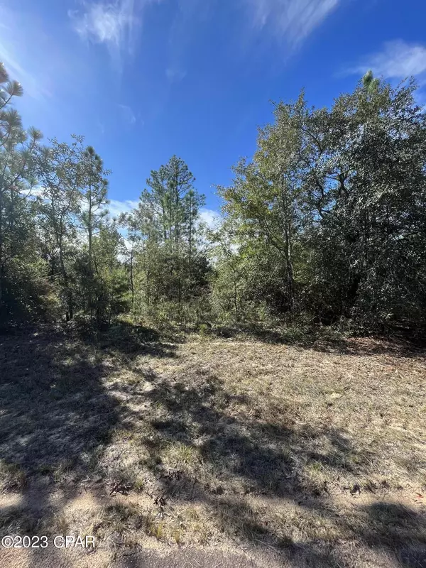 Chipley, FL 32428,Lot 8 Regent