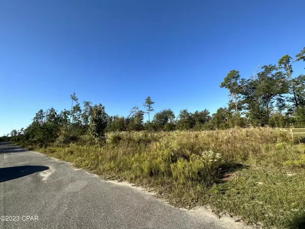 Wewahitchka, FL 32465,135 Jazzy LN